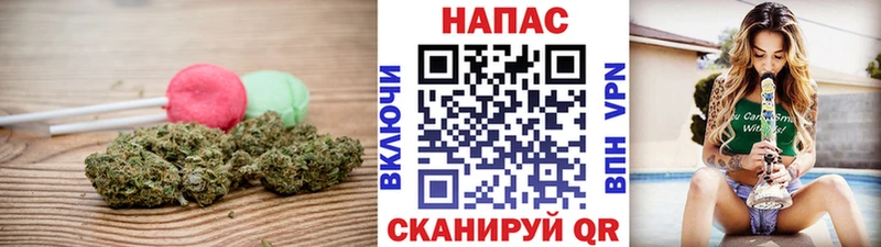 blacksprut ССЫЛКА  Каменногорск  Cannafood конопля 