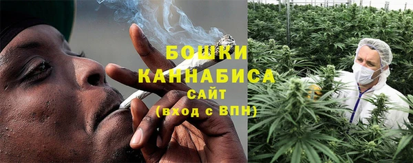 ГАЛЛЮЦИНОГЕННЫЕ ГРИБЫ Волосово