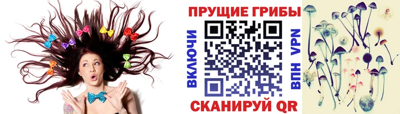 Псилоцибиновые грибы мухоморы купить закладку Каменногорск